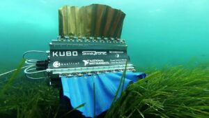 Underwater Robots sepios